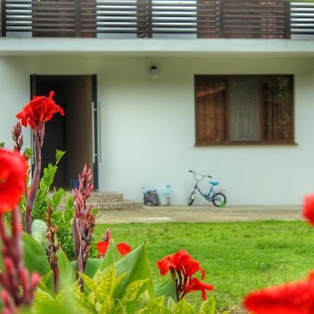 بيزوندا Guest House Sirius المظهر الخارجي الصورة