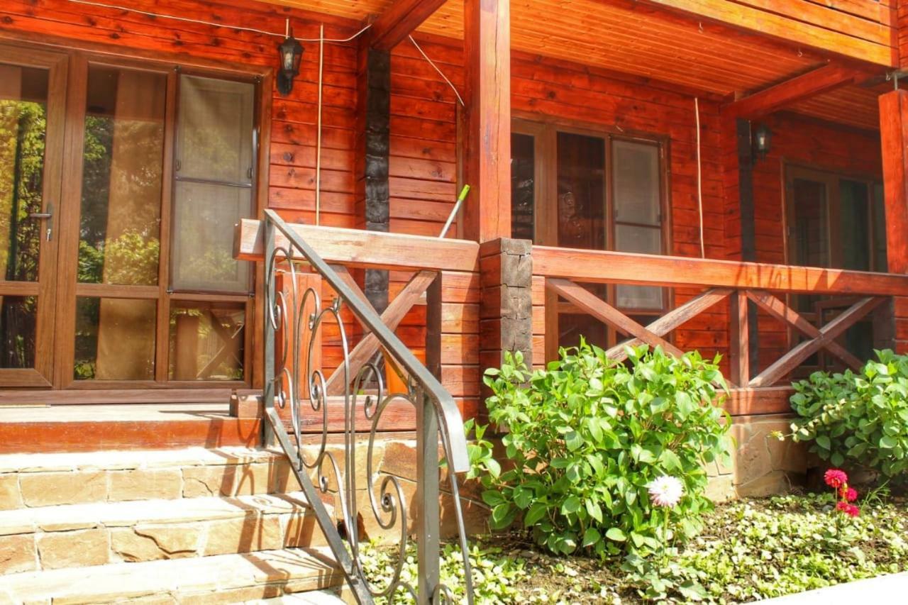 بيزوندا Guest House Sirius المظهر الخارجي الصورة